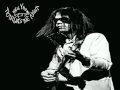 Neil Young - Roll Another Number (for the Road)(Unreleased)