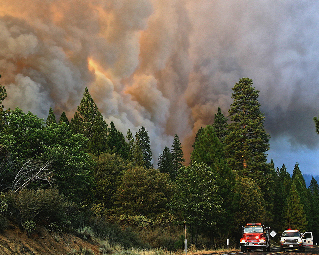 Rim Fire - Summer 2013