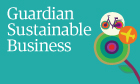 Guardian sustainable business