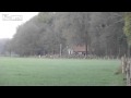 Deer herd waits patiently to jump over the fence