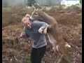 Deer Tries to Mate with Teenage Girl