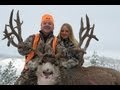 Montana Rifle Mule Deer Hunt - Will Farrar - MossBack