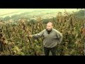 Wine Trails France - Rhone-Alpes