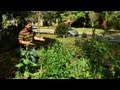 Permaculture Paradise at Alex's PermaGarden - Part 1