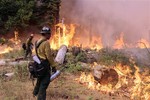 In this photo provided by the U.S. Forest Service, fire crew members stand watch near a controlled burn operation as they fight the Rim Fire near Yosemite National Park in California Sunday, Sept. 1, 2013.