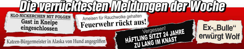 Die kuriosen Meldungen der Woche: Katzen-Bürgermeister von Hund angegriffen 