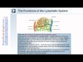 Immunity and The Lymphatic System - Part 1 of 2