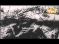 Indo-Pak War 1965 - Documentary 