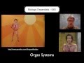 Organ Systems