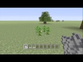 How To Grow Jungle Trees - Minecraft (Xbox 360)