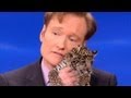 Animal Expert David Mizejewski: Baby Jaguars & Binturong - CONAN on TBS