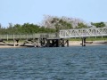 Lovell's Island 2011