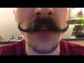 The Enigmatic Life of a Curly Moustache: A True Handlebar Waxing Story.