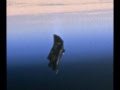 Black Knight Satellite-UFO Analyzed What Is It? 01-29-13