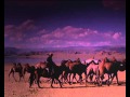 Borodin: Steppes of Central Asia - Ashkenazy*