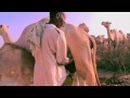 Pastoralism