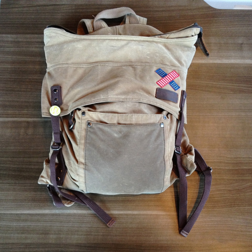 Levis Surveyor Backpack