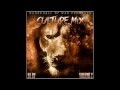 Reggae & Culture Mix 2013, Chronixx, Lutan Fyah, I-Octane, & More