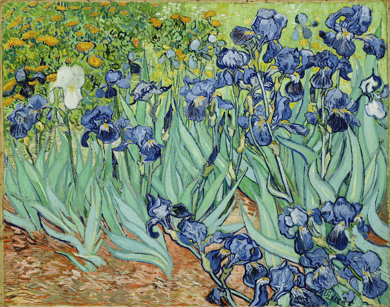 A field of flowers. The foreground includes long green stems with blue flowers, while the background includes prominent gold flowers on the left; white flowers in the center and a field to the right.