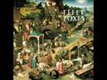 Fleet Foxes - Tiger Mountain Peasant Song (only audio)