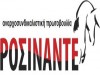 rocinante_logo.jpg