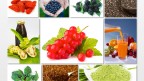 Powerstoffe wie Vitamine, Antioxidantien, Ballaststoffe sind auch in einheimischen Obst- und Gemüsesorten