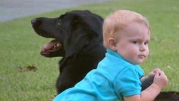 Best pals ... Finn and the family dog, Killian, now.