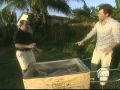 BBQ with Bobby Flay Featuring La Caja China on the Food Network Part 1 of 2