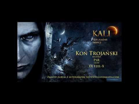 11. Kali - Koń trojański (prod. PSR)