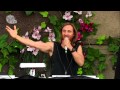 Tomorrowland 2013 - David Guetta