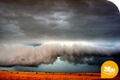 Australian farmland is shrinking as farmers walk away