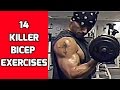 14 Killer Bicep Exercises to mix up your Arm Workouts