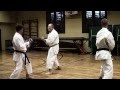 Kumite Training with Sensei Gyula Büki, 7th Dan Shotokan Karate