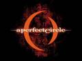 1. The Hollow - a perfect circle