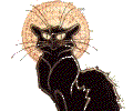 Chat Noir black cat (top)