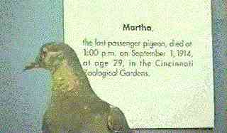 Martha plaque