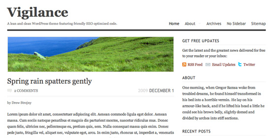 Vigilance WordPress theme