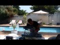 Dj Orix - Summer Party Mix #2 [2013 Edition]