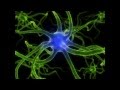 ★ Nerve Regeneration ★ Binaural Beats + Isochronic Tones (ASMR)