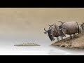 Wildebeest from Birdbox Studio