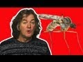 Why do mosquitoes prefer some people to others? - James May's Q&A (Ep 17) - Head Squeeze