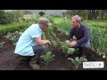 Grow Your Own Kale With Quickcrop