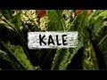 Kale - Superfoods, Episode 5