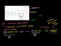 ATP: Adenosine Triphosphate