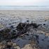 BP ‘lied’ about oil spill, judge hears