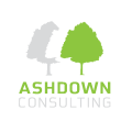 Ashdown Consulting