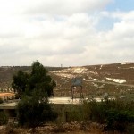 20 dunums of land and 200 olive trees set on fire by settlers in Sarra