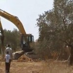 Israel starts illegal construction, destroying field of olive trees on private Palestinian land near village of Immatin