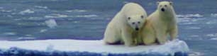 Arctic Sea Ice and Al Gore's "Prediction 2013"