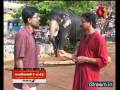 E 4 Elephant - Thrissur Pooram Part 1